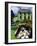 Persian Cat in Ireland (Chat Persan En Irland)-Isy Ochoa-Framed Giclee Print