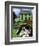 Persian Cat in Ireland (Chat Persan En Irland)-Isy Ochoa-Framed Giclee Print