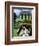 Persian Cat in Ireland (Chat Persan En Irland)-Isy Ochoa-Framed Giclee Print