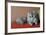 Persian Cat on the Couch-Valerio Pardi-Framed Photographic Print