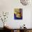 Persian Cat, Series I-Isy Ochoa-Giclee Print displayed on a wall