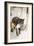 Persian Cat Standing in Bath, Being Washed-null-Framed Photographic Print