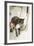 Persian Cat Standing in Bath, Being Washed-null-Framed Photographic Print
