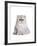 Persian Cat-Fabio Petroni-Framed Photographic Print