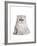 Persian Cat-Fabio Petroni-Framed Photographic Print