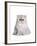 Persian Cat-Fabio Petroni-Framed Photographic Print