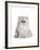 Persian Cat-Fabio Petroni-Framed Photographic Print