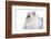 Persian Cat-Fabio Petroni-Framed Photographic Print