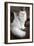 Persian Chinchilla-null-Framed Photographic Print