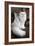 Persian Chinchilla-null-Framed Photographic Print