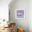 Persian Cross Kitten, Sitting-Jane Burton-Framed Photographic Print displayed on a wall