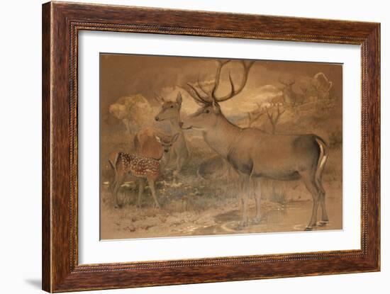 Persian Deer-Joseph Wolf-Framed Giclee Print