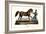 Persian Horse, 1824-Karl Joseph Brodtmann-Framed Giclee Print