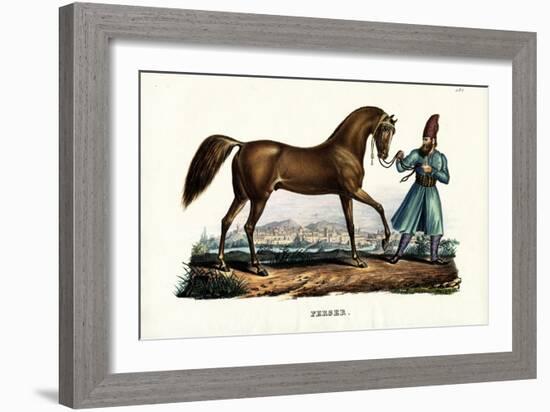 Persian Horse, 1824-Karl Joseph Brodtmann-Framed Giclee Print