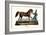 Persian Horse, 1824-Karl Joseph Brodtmann-Framed Giclee Print