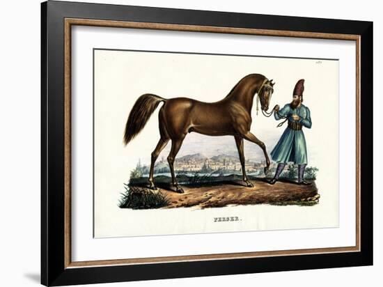 Persian Horse, 1824-Karl Joseph Brodtmann-Framed Giclee Print