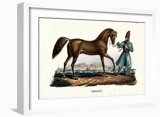 Persian Horse, 1824-Karl Joseph Brodtmann-Framed Giclee Print