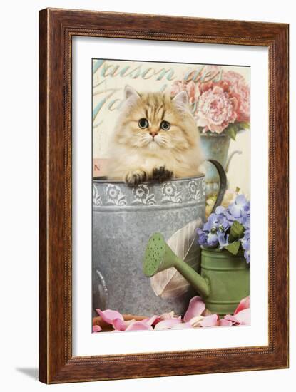 Persian Kitten in Flowerpot-null-Framed Photographic Print
