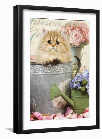 Persian Kitten in Flowerpot-null-Framed Photographic Print