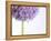 Persian onion-null-Framed Premier Image Canvas