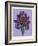 Persian Ornament-null-Framed Giclee Print