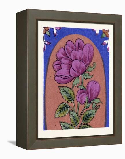 Persian Ornament-null-Framed Premier Image Canvas