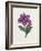 Persian Ornament-null-Framed Giclee Print