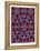 Persian Ornament-null-Framed Premier Image Canvas