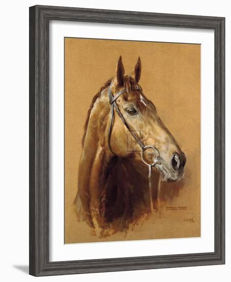 Persian Punch-Susan Crawford-Framed Limited Edition