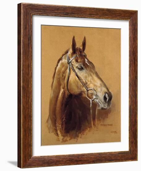 Persian Punch-Susan Crawford-Framed Limited Edition