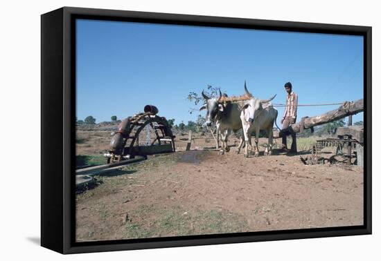 Persian Water Wheel, Rajasthan, India-Vivienne Sharp-Framed Premier Image Canvas