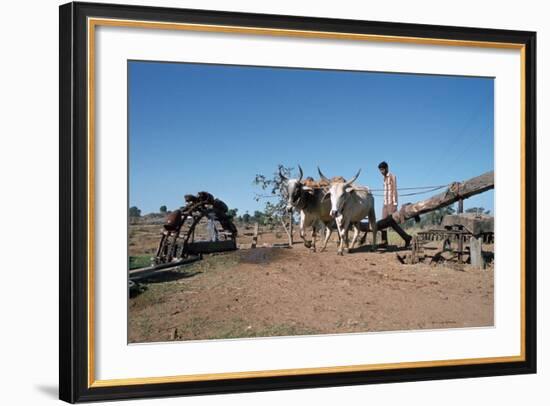 Persian Water Wheel, Rajasthan, India-Vivienne Sharp-Framed Photographic Print