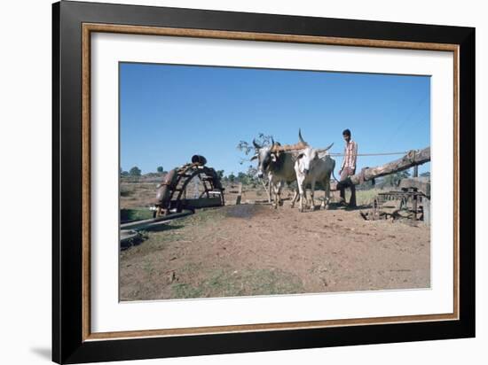 Persian Water Wheel, Rajasthan, India-Vivienne Sharp-Framed Photographic Print