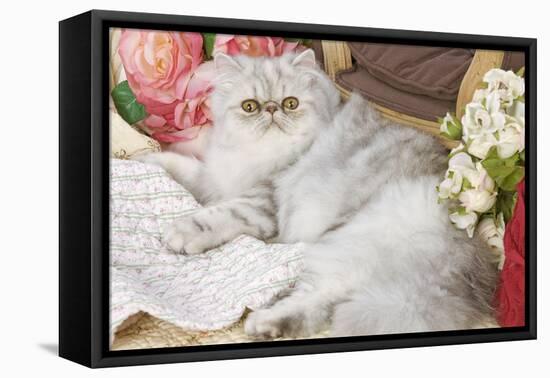 Persian-null-Framed Premier Image Canvas