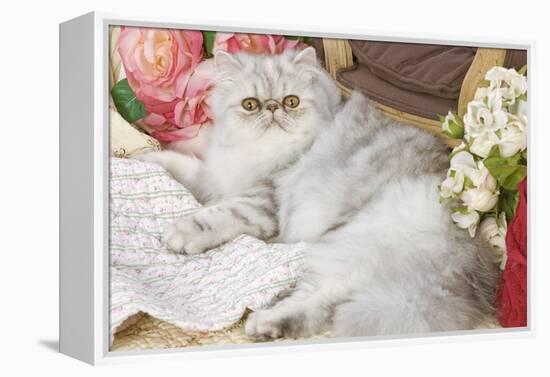 Persian-null-Framed Premier Image Canvas