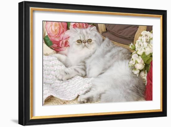 Persian-null-Framed Photographic Print