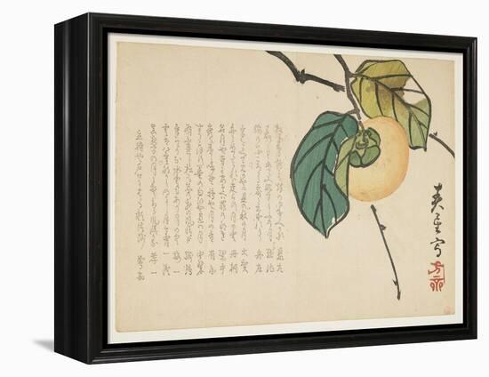 Persimmon, C.1854-59-Shunsei-Framed Premier Image Canvas