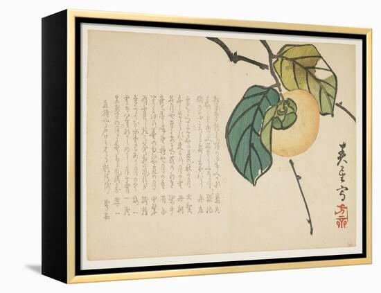 Persimmon, C.1854-59-Shunsei-Framed Premier Image Canvas