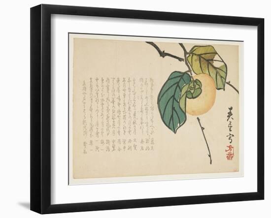 Persimmon, C.1854-59-Shunsei-Framed Giclee Print