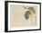 Persimmon, C.1854-59-Shunsei-Framed Giclee Print