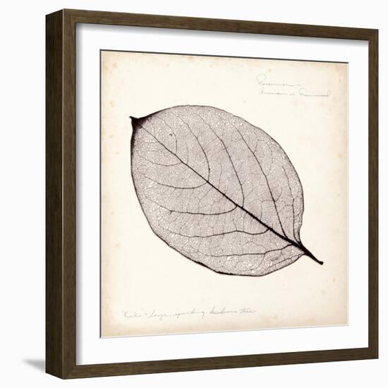 Persimmon Leaf-Booker Morey-Framed Art Print