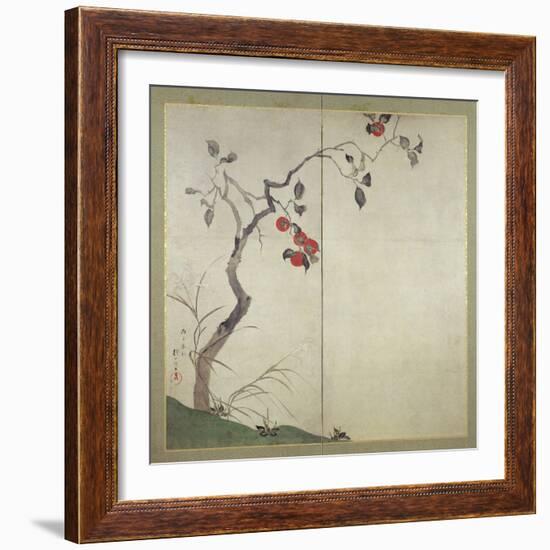 Persimmon on Tree (Ink, Colours and Gold on Paper)-Sakai Hoitsu-Framed Giclee Print