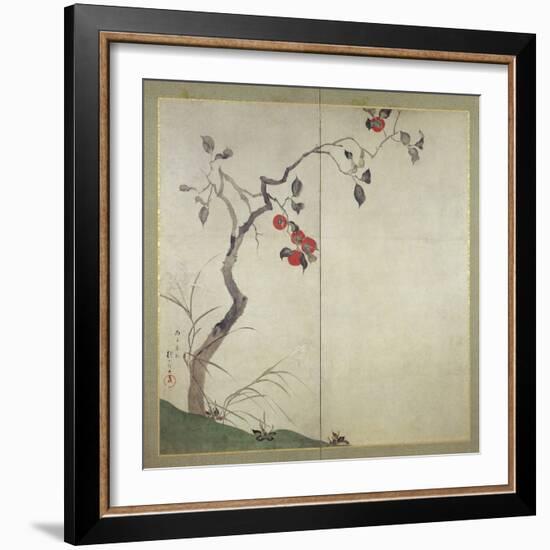 Persimmon on Tree (Ink, Colours and Gold on Paper)-Sakai Hoitsu-Framed Giclee Print