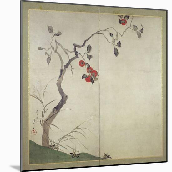 Persimmon on Tree (Ink, Colours and Gold on Paper)-Sakai Hoitsu-Mounted Giclee Print