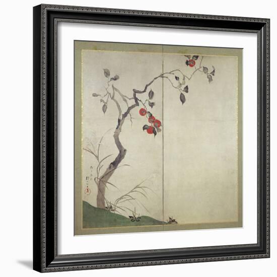 Persimmon on Tree (Ink, Colours and Gold on Paper)-Sakai Hoitsu-Framed Giclee Print