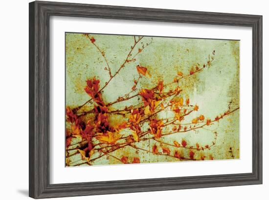 Persimmon-Andrew Michaels-Framed Art Print