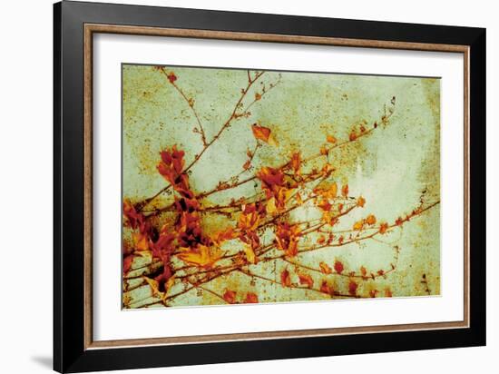 Persimmon-Andrew Michaels-Framed Art Print