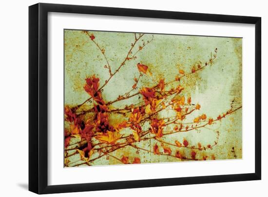 Persimmon-Andrew Michaels-Framed Art Print