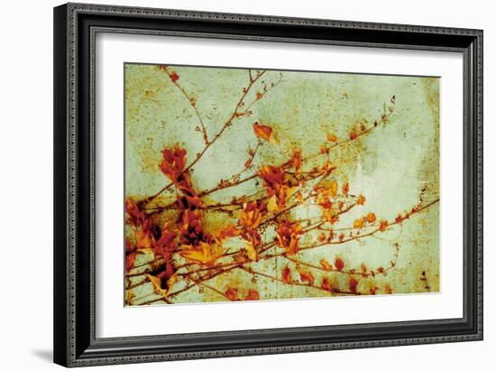 Persimmon-Andrew Michaels-Framed Art Print