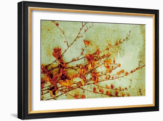 Persimmon-Andrew Michaels-Framed Art Print